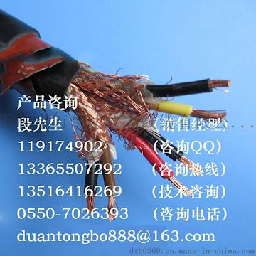 ZRA-DJFFRP22阻燃鎧裝計算機(jī)屏蔽電纜